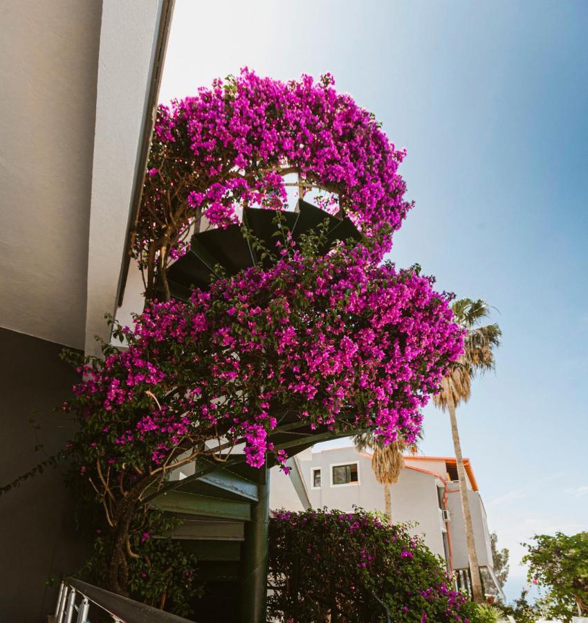 Horizon Hotel
